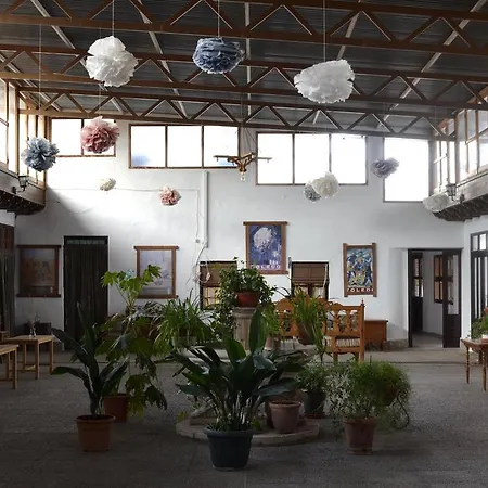 Banderas Guest house *